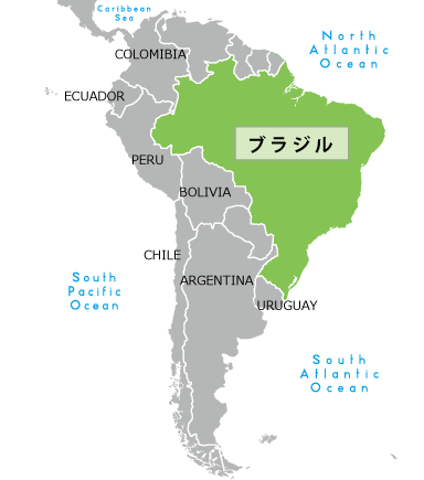ブラジル エリアナビ ブラジル アルゼンチン チリ等中南米旅行専門のwec旅行社
