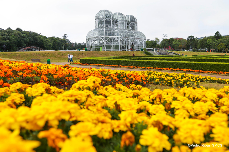 クリチバのシンボルとも言える植物園