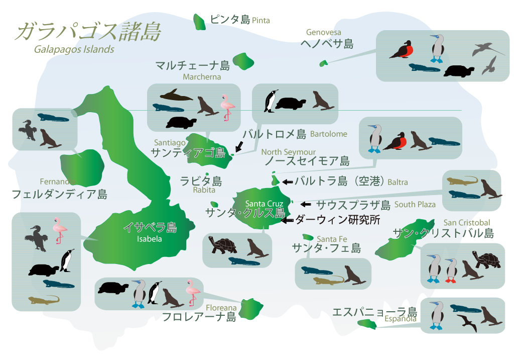 ガラパゴス諸島に生息する動物たち