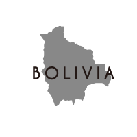 ボリビアのモデルコース