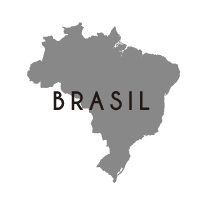 ブラジル定番のモデルコース