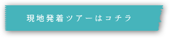 サンルイスからの現地発着ツアー