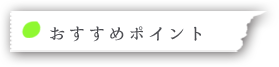 ツアーのおすすめポイント