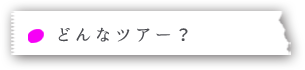 レンソイスツアーってどんな所観光するの？